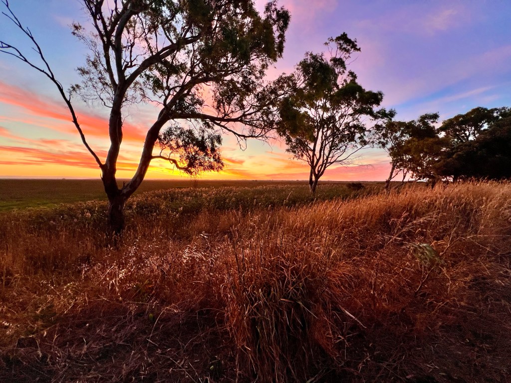 Bool Lagoon Reserve and Hacks Lagoon Conservation Park, South Australia