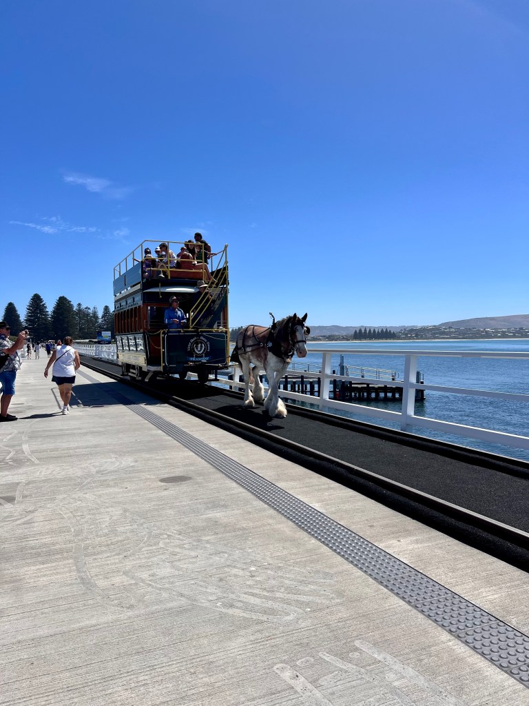 Granite Island, Victor Harbor, South Australia